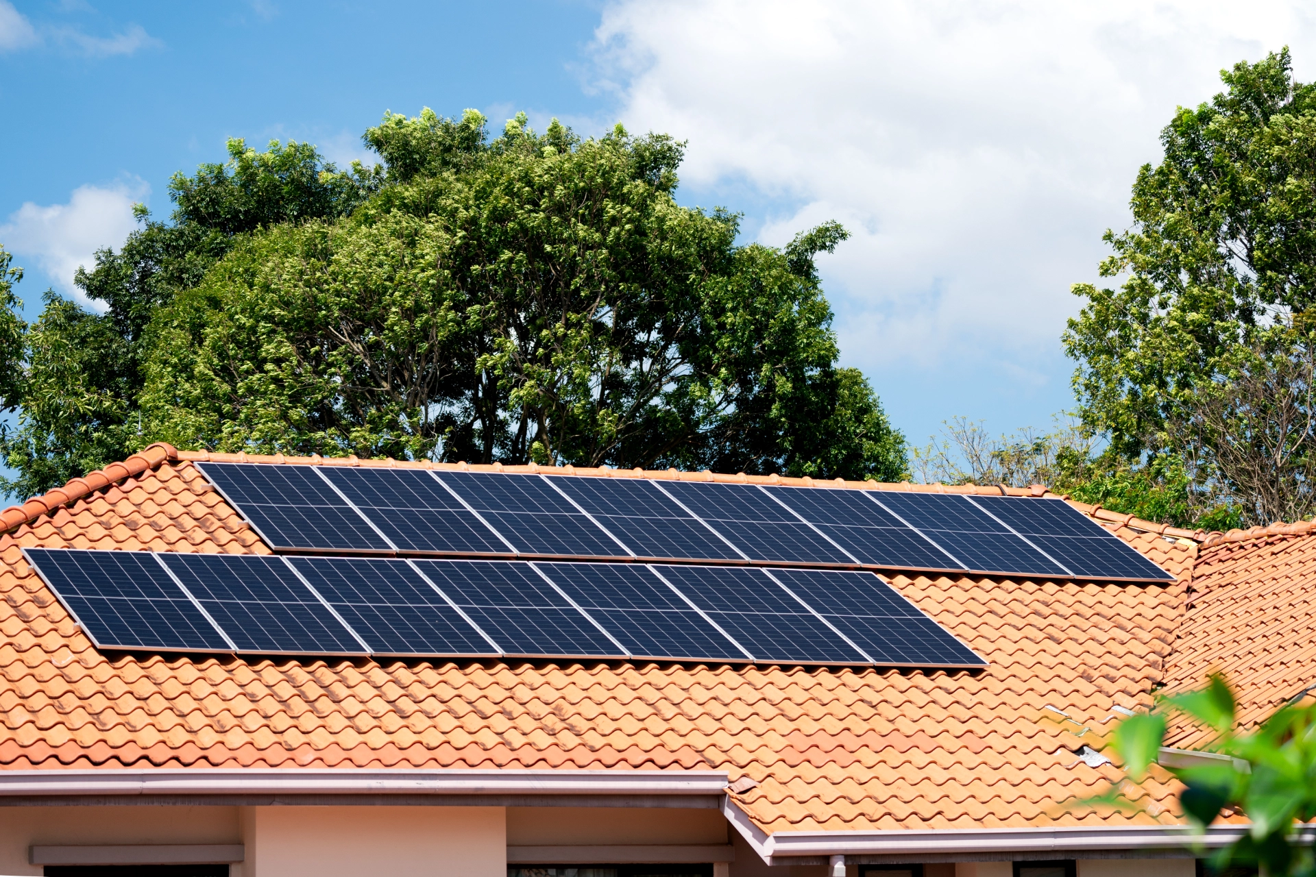 France Rénov et rénovation énergétique en 2026 pour professionnels du bâtiment
