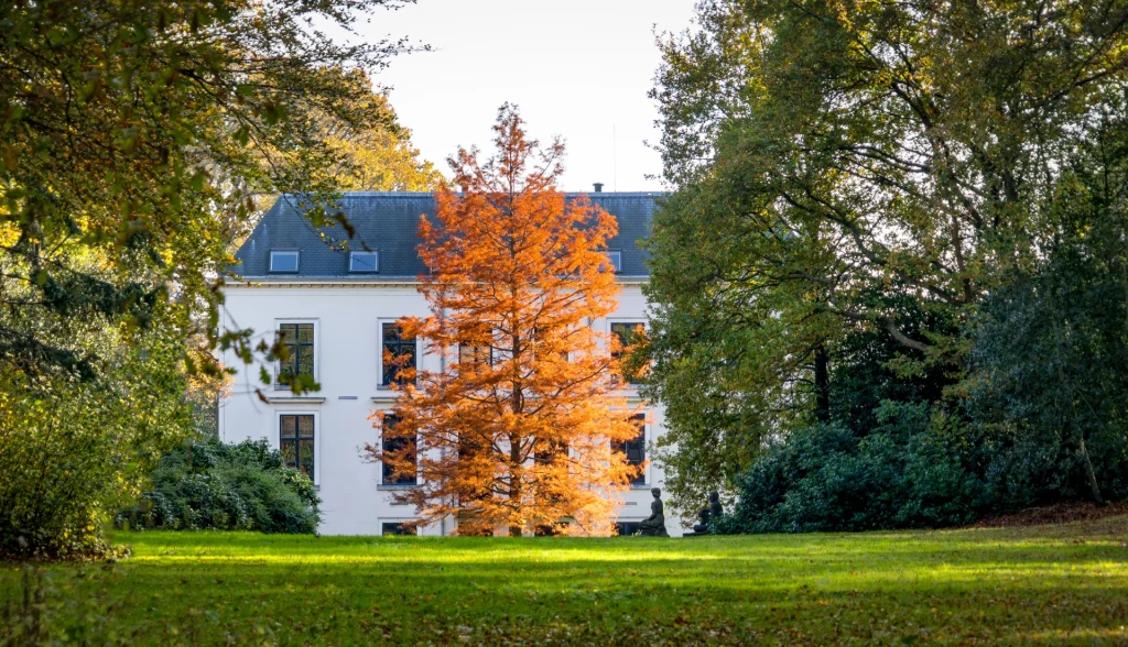Travaux d’automne à Angoulême dans une maison en rénovation
