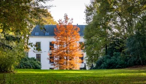Travaux d’automne à Angoulême dans une maison en rénovation