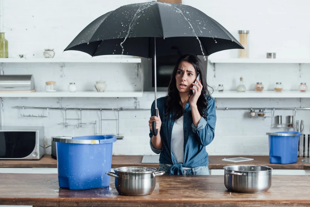 Maison à Angoulême protégée des pluies d’automne
