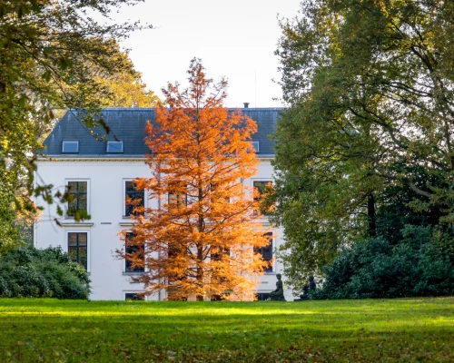 Travaux d&rsquo;automne &agrave; Angoul&ecirc;me dans une maison en r&eacute;novation